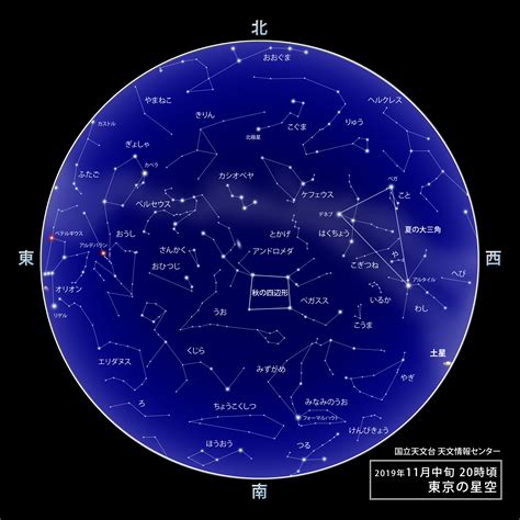 11月28日是什麼星座|11月28日是什么星座？